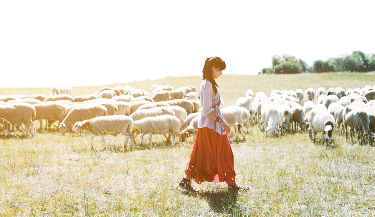 天蓝2009的个人主页（封面预览） - 主页封面设置 - 站酷设计师天蓝2009原创素材 - 站酷ZCOOL