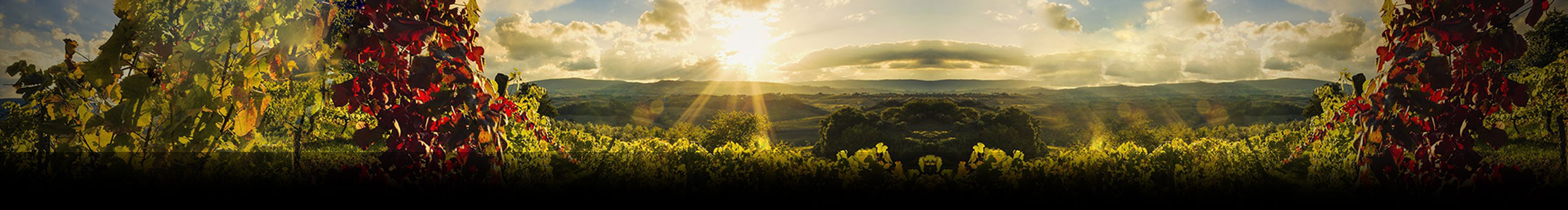 木子檬的个人主页（封面预览） - 主页封面设置 - 站酷设计师木子檬原创素材 - 站酷ZCOOL