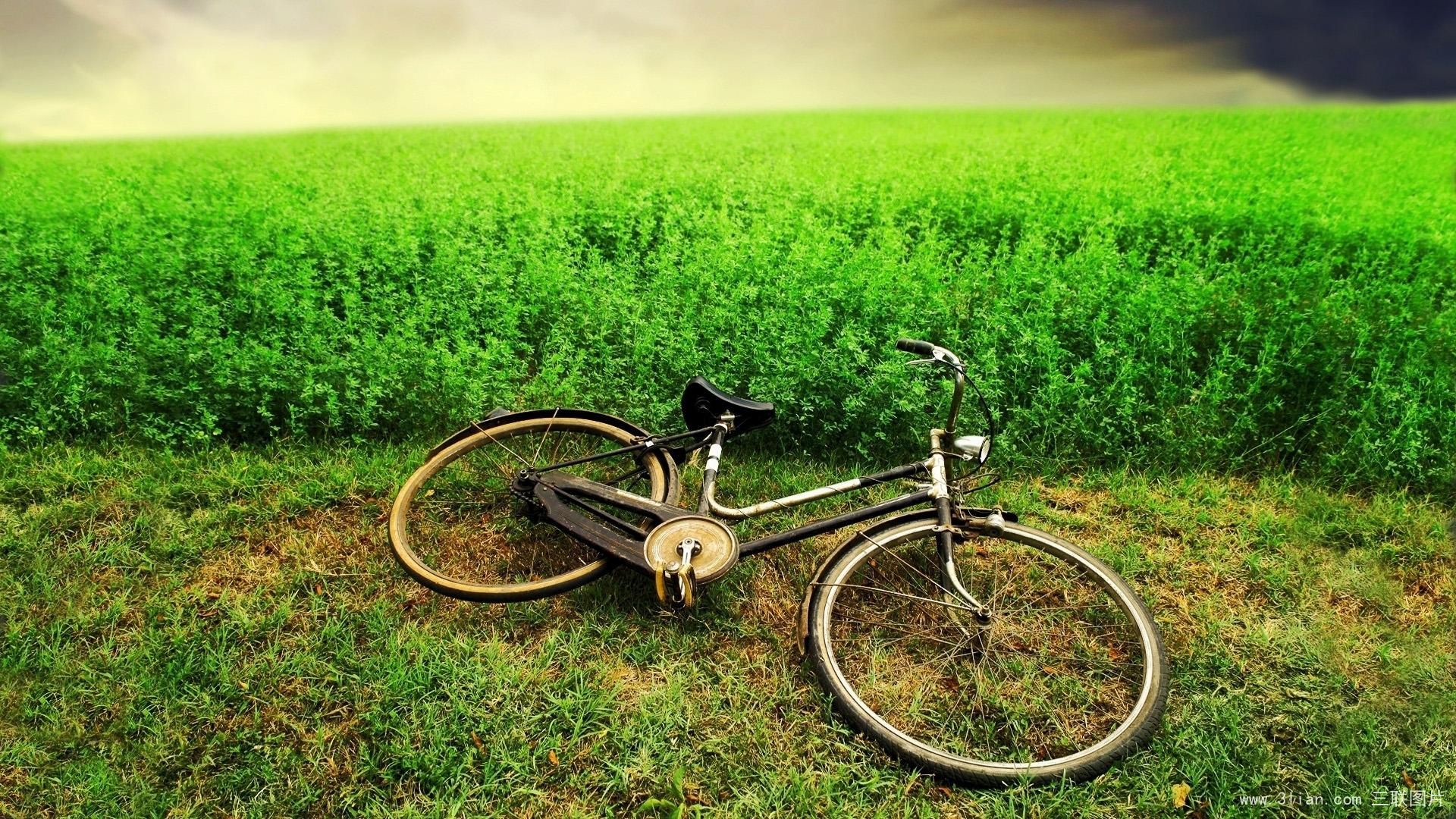 擱淺如此淺顯的個人主頁（封面預(yù)覽） - 主頁封面設(shè)置 - 站酷設(shè)計(jì)師擱淺如此淺顯原創(chuàng)素材 - 站酷ZCOOL