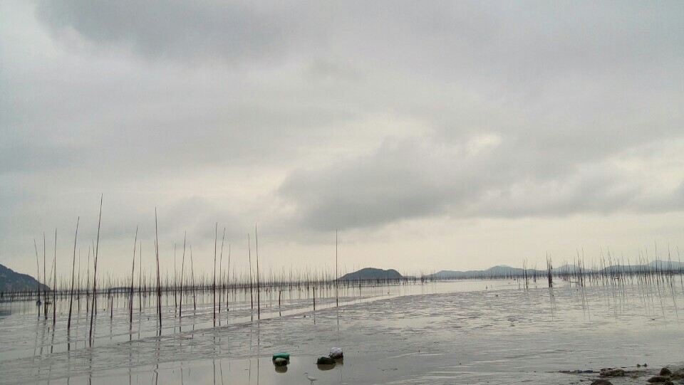 伊柏菜鸟工作室的个人主页（封面预览） - 主页封面设置 - 站酷设计师伊柏菜鸟工作室原创素材 - 站酷ZCOOL