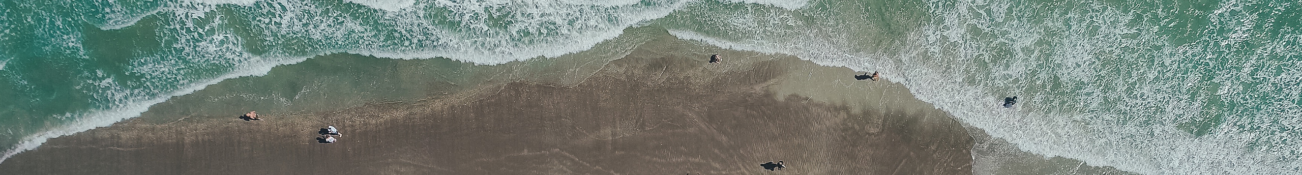 辰木W(wǎng)OOD的個(gè)人主頁（封面預(yù)覽） - 主頁封面設(shè)置 - 站酷設(shè)計(jì)師辰木W(wǎng)OOD原創(chuàng)素材 - 站酷ZCOOL