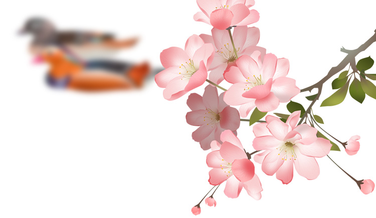 queenzoey的個人主頁（封面預(yù)覽） - 主頁封面設(shè)置 - 站酷設(shè)計(jì)師queenzoey原創(chuàng)素材 - 站酷ZCOOL