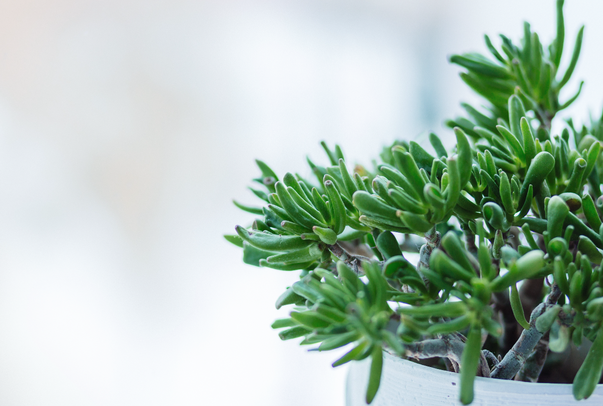 无讼设计的个人主页（封面预览） - 主页封面设置 - 站酷设计师无讼设计原创素材 - 站酷ZCOOL