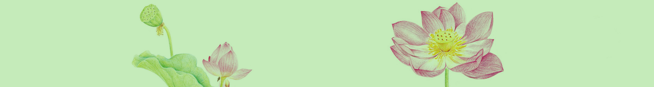 森91的个人主页（封面预览） - 主页封面设置 - 站酷设计师森91原创素材 - 站酷ZCOOL