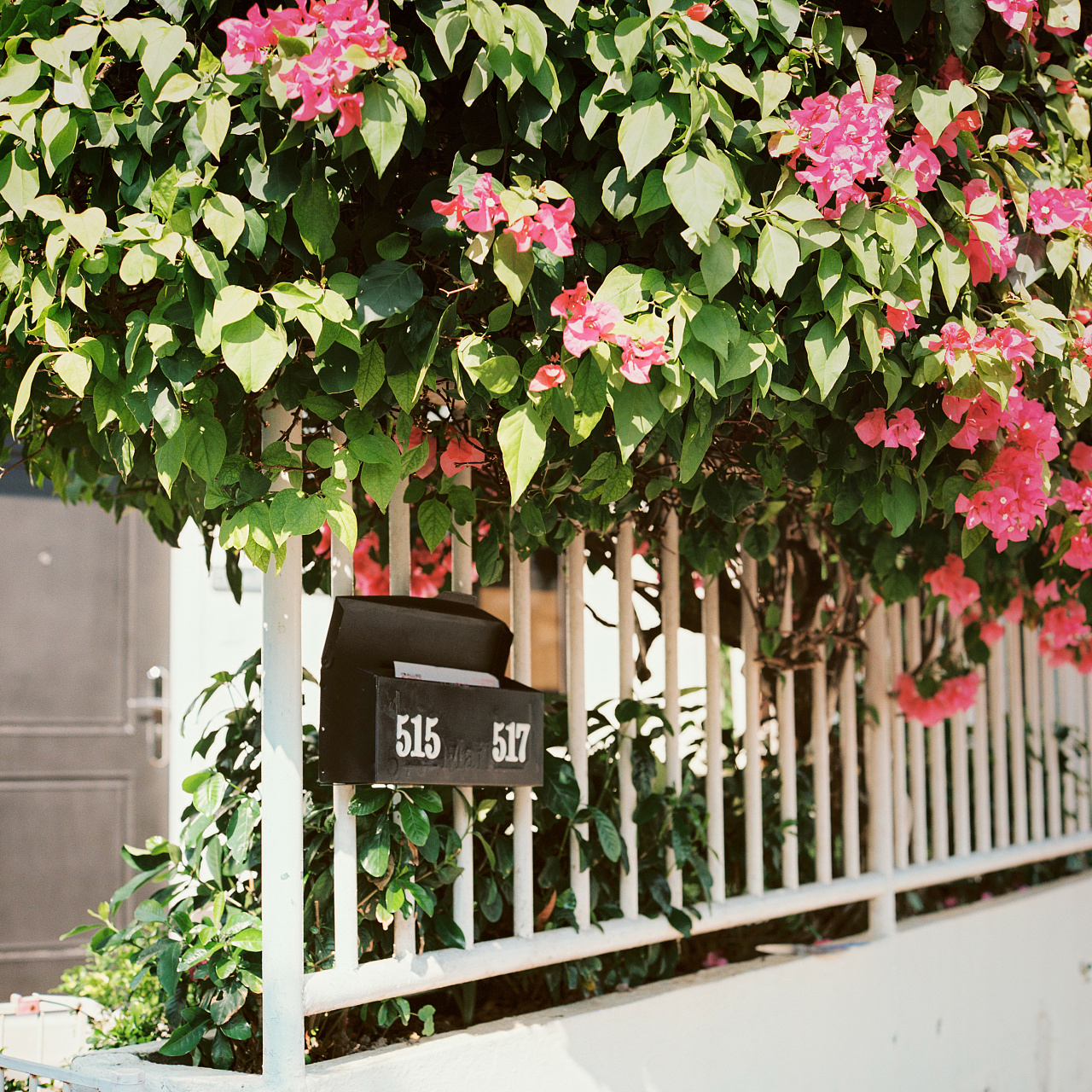 西ZYT瓜的个人主页（封面预览） - 主页封面设置 - 站酷设计师西ZYT瓜原创素材 - 站酷ZCOOL