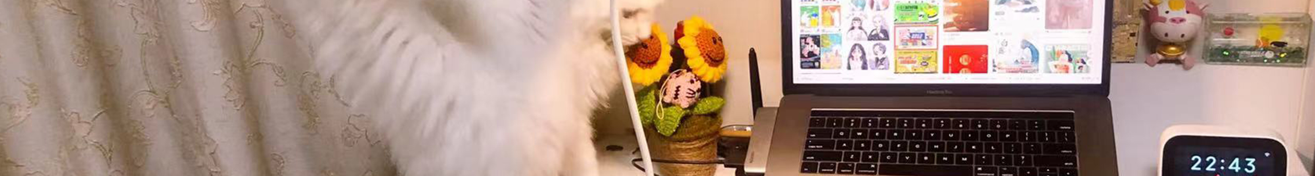 安笙penny的个人主页（封面预览） - 主页封面设置 - 站酷设计师安笙penny原创素材 - 站酷ZCOOL