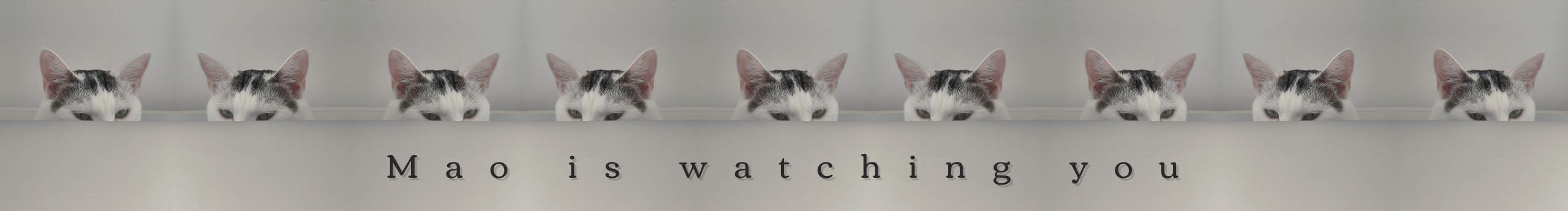 愛玩的酷奇的個人主頁（封面預覽） - 主頁封面設置 - 站酷設計師愛玩的酷奇原創(chuàng)素材 - 站酷ZCOOL