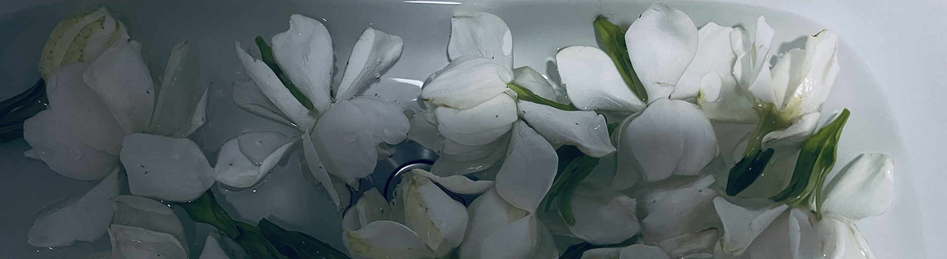 晴晴晴空的个人主页（封面预览） - 主页封面设置 - 站酷设计师晴晴晴空原创素材 - 站酷ZCOOL