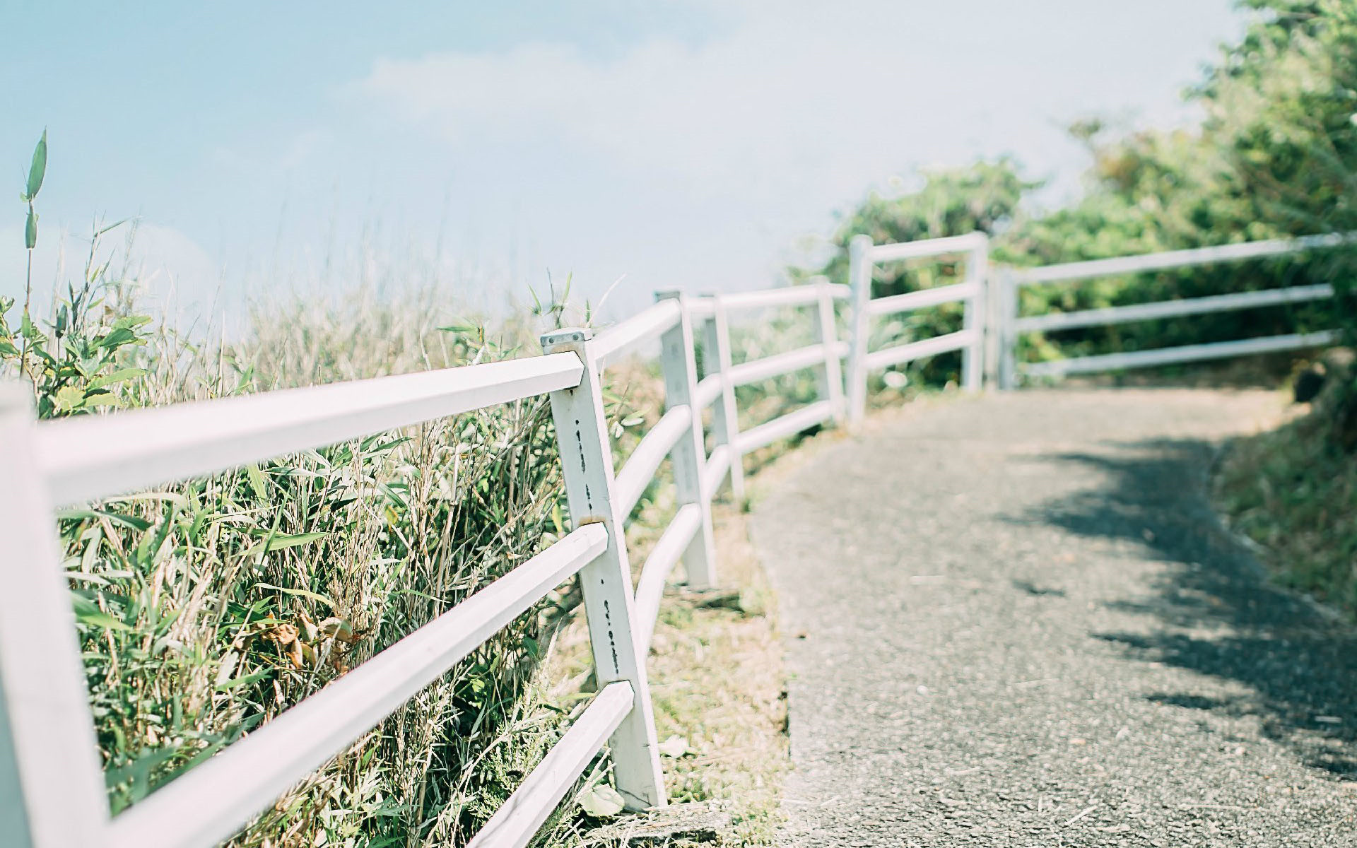 TUBI颗粒子的个人主页（封面预览） - 主页封面设置 - 站酷设计师TUBI颗粒子原创素材 - 站酷ZCOOL