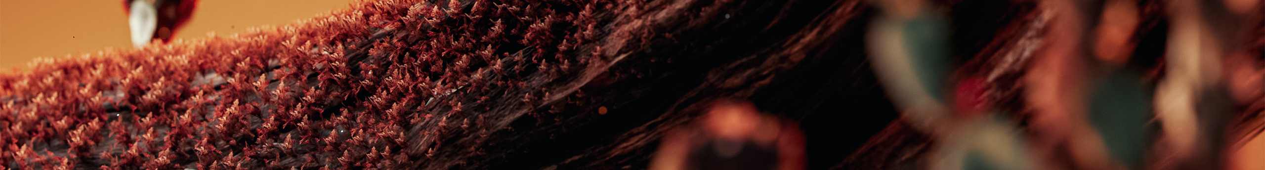 阿豪Matt的个人主页（封面预览） - 主页封面设置 - 站酷设计师阿豪Matt原创素材 - 站酷ZCOOL