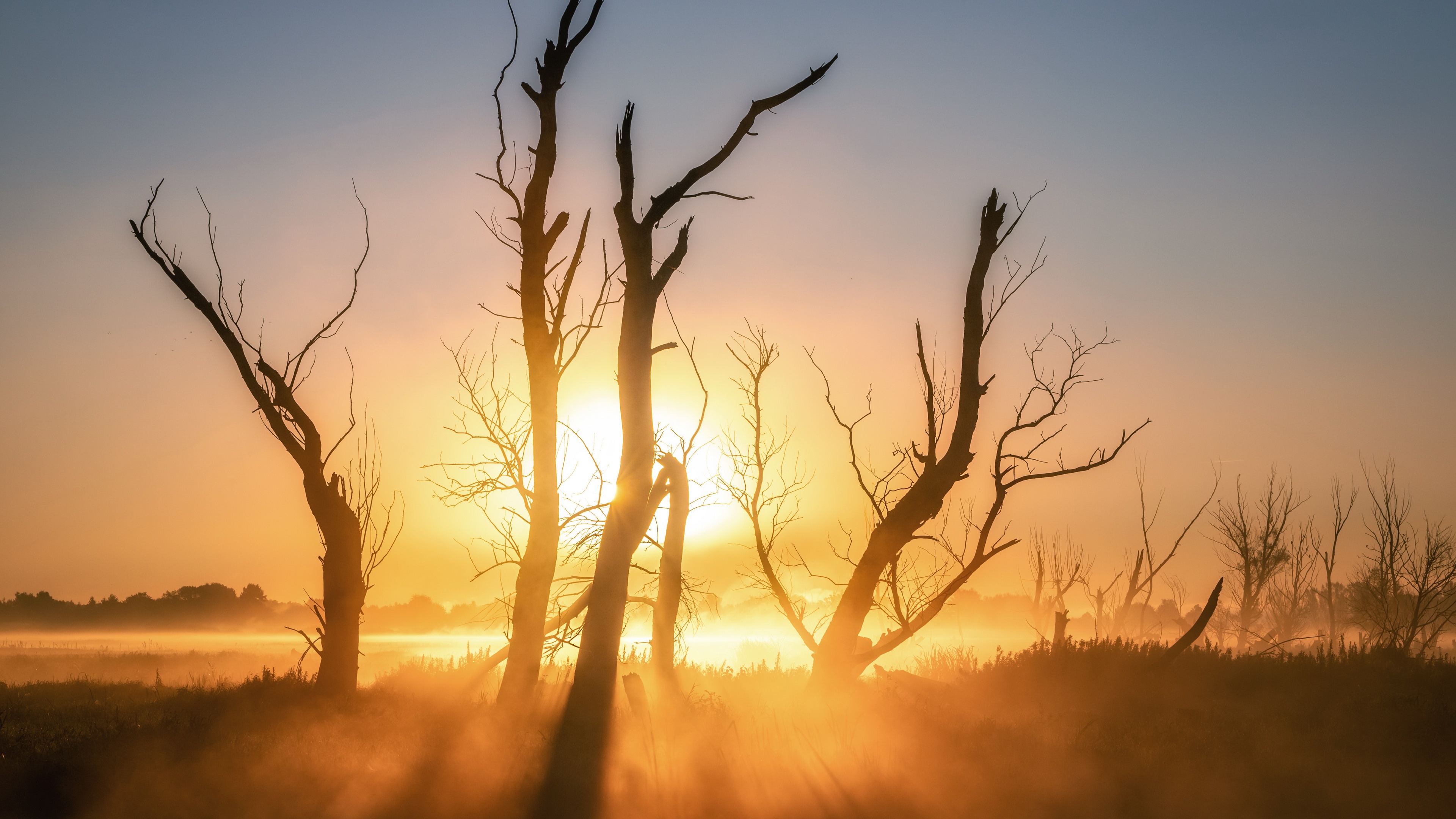 简JIANJIAN的个人主页（封面预览） - 主页封面设置 - 站酷设计师简JIANJIAN原创素材 - 站酷ZCOOL