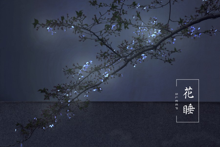 三个圆圆的个人主页（封面预览） - 主页封面设置 - 站酷设计师三个圆圆原创素材 - 站酷ZCOOL