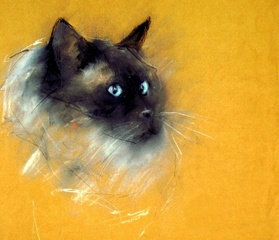 ctt5201314的个人主页（封面预览） - 主页封面设置 - 站酷设计师ctt5201314原创素材 - 站酷ZCOOL