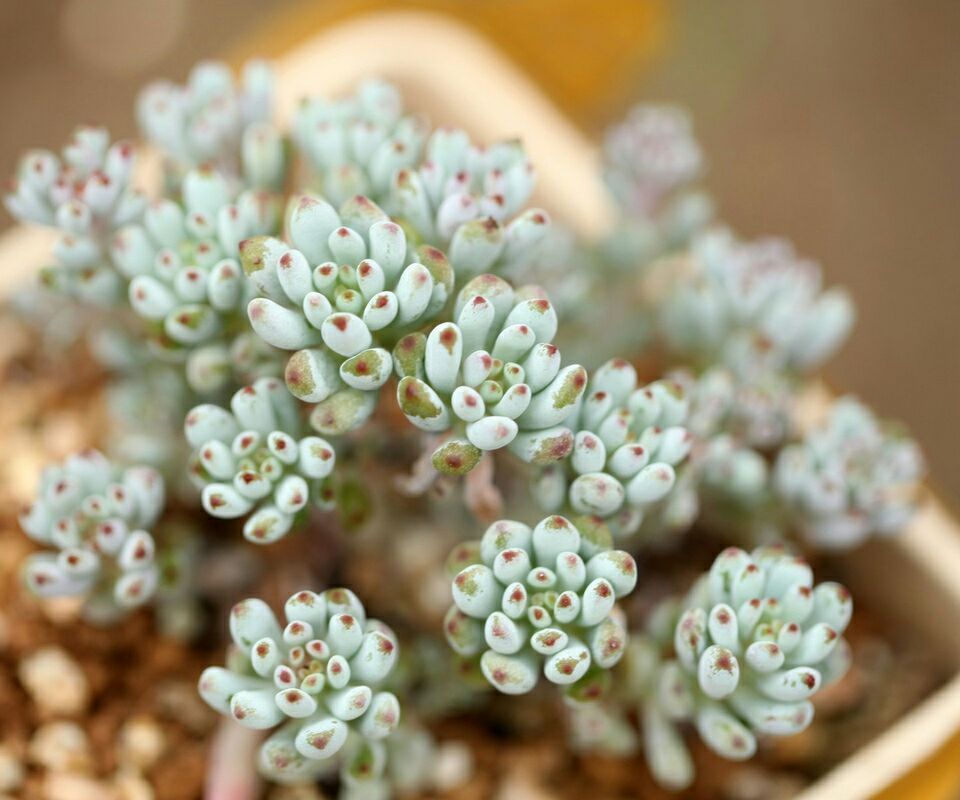 柴柴过马路的个人主页（封面预览） - 主页封面设置 - 站酷设计师柴柴过马路原创素材 - 站酷ZCOOL