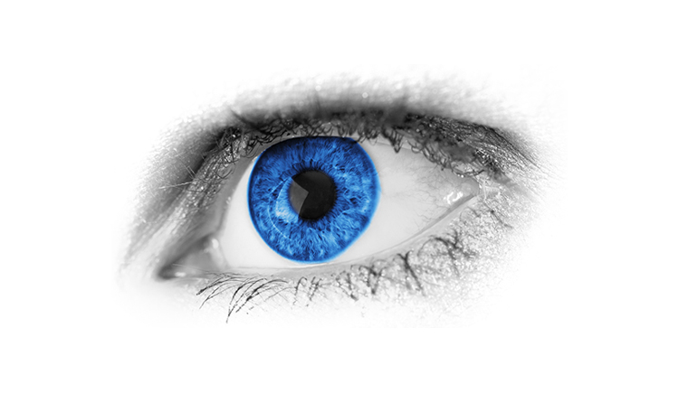 淘气猪猪的个人主页（封面预览） - 主页封面设置 - 站酷设计师淘气猪猪原创素材 - 站酷ZCOOL