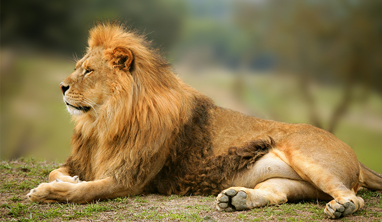 Andy龙龙君的个人主页（封面预览） - 主页封面设置 - 站酷设计师Andy龙龙君原创素材 - 站酷ZCOOL