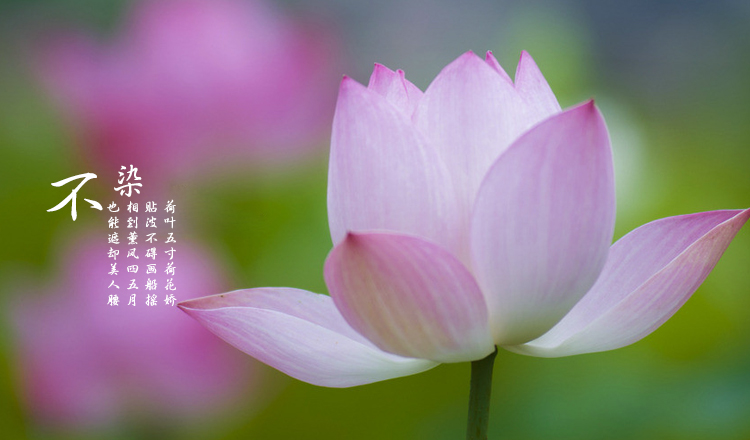 公主命的个人主页（封面预览） - 主页封面设置 - 站酷设计师公主命原创素材 - 站酷ZCOOL