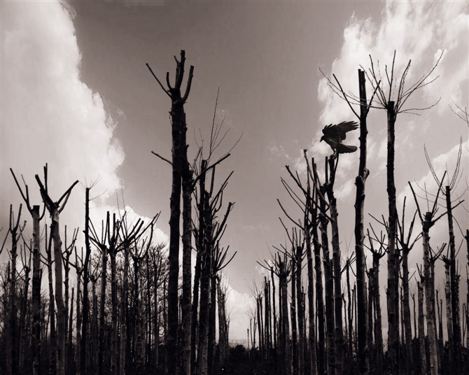 絔芯的個(gè)人主頁(yè)（封面預(yù)覽） - 主頁(yè)封面設(shè)置 - 站酷設(shè)計(jì)師絔芯原創(chuàng)素材 - 站酷ZCOOL