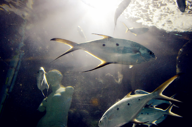 Balbo的个人主页（封面预览） - 主页封面设置 - 站酷设计师Balbo原创素材 - 站酷ZCOOL