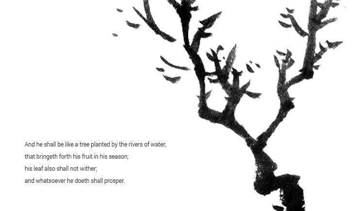 tiny的个人主页（封面预览） - 主页封面设置 - 站酷设计师tiny原创素材 - 站酷ZCOOL