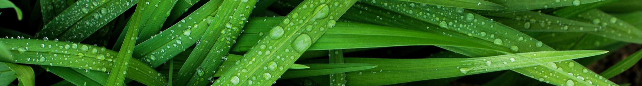 Ethan丶鎏的個人主頁（封面預覽） - 主頁封面設置 - 站酷設計師Ethan丶鎏原創(chuàng)素材 - 站酷ZCOOL