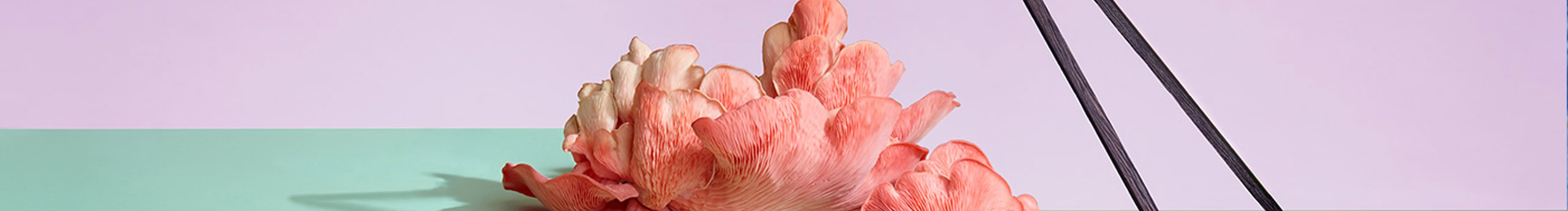 我叫顧大洋的個人主頁（封面預(yù)覽） - 主頁封面設(shè)置 - 站酷設(shè)計師我叫顧大洋原創(chuàng)素材 - 站酷ZCOOL