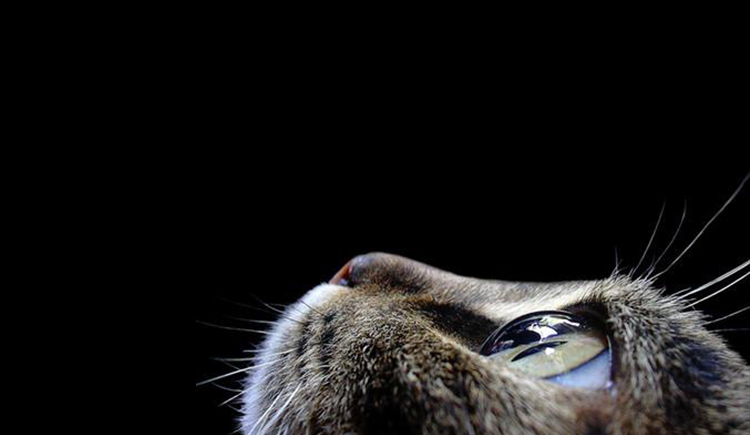 源色之美的個人主頁（封面預(yù)覽） - 主頁封面設(shè)置 - 站酷設(shè)計師源色之美原創(chuàng)素材 - 站酷ZCOOL