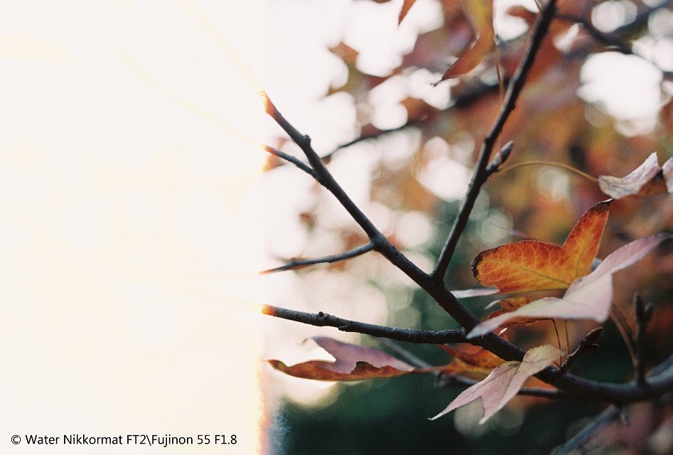 laicous的個(gè)人主頁(yè)（封面預(yù)覽） - 主頁(yè)封面設(shè)置 - 站酷設(shè)計(jì)師laicous原創(chuàng)素材 - 站酷ZCOOL