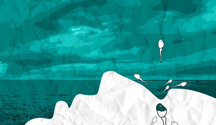 喇呢嘛的个人主页（封面预览） - 主页封面设置 - 站酷设计师喇呢嘛原创素材 - 站酷ZCOOL