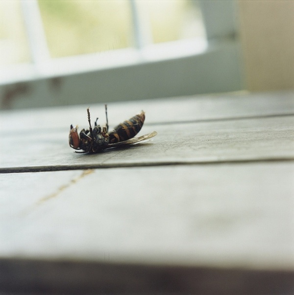 nOTyPe的个人主页（封面预览） - 主页封面设置 - 站酷设计师nOTyPe原创素材 - 站酷ZCOOL