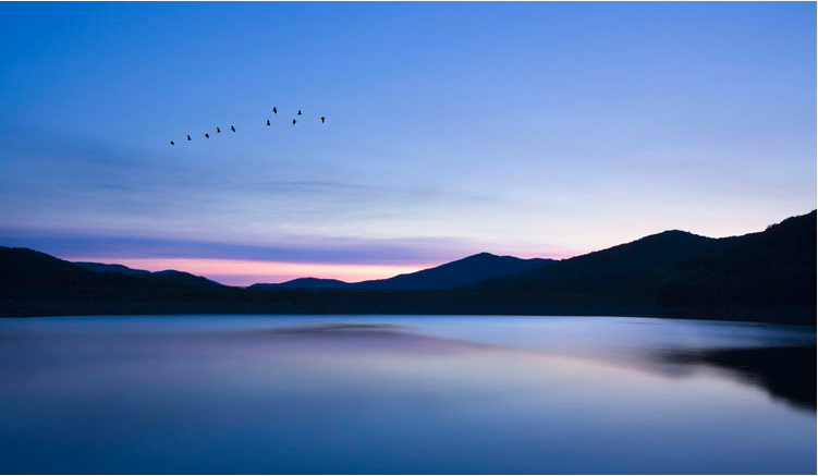香草冰淇淋的个人主页（封面预览） - 主页封面设置 - 站酷设计师香草冰淇淋原创素材 - 站酷ZCOOL