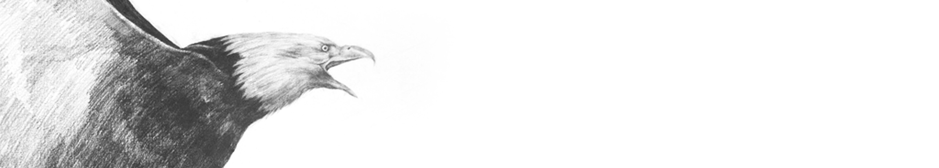 阿苏在奋斗的个人主页（封面预览） - 主页封面设置 - 站酷设计师阿苏在奋斗原创素材 - 站酷ZCOOL