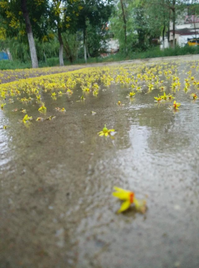 可亻氏的個(gè)人主頁（封面預(yù)覽） - 主頁封面設(shè)置 - 站酷設(shè)計(jì)師可亻氏原創(chuàng)素材 - 站酷ZCOOL