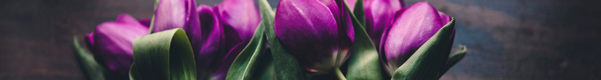 Rolisa的个人主页（封面预览） - 主页封面设置 - 站酷设计师Rolisa原创素材 - 站酷ZCOOL