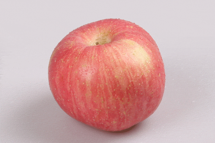 笨鸟想飞的个人主页（封面预览） - 主页封面设置 - 站酷设计师笨鸟想飞原创素材 - 站酷ZCOOL