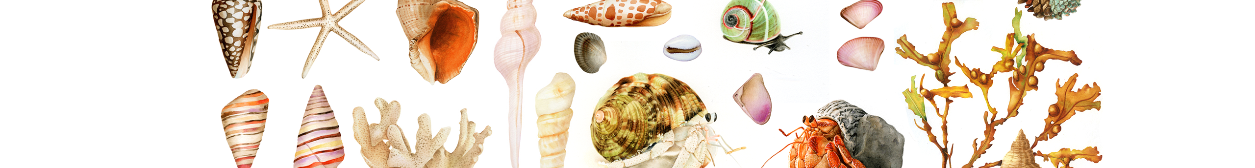 李李紙間萬物的個人主頁（封面預(yù)覽） - 主頁封面設(shè)置 - 站酷設(shè)計師李李紙間萬物原創(chuàng)素材 - 站酷ZCOOL