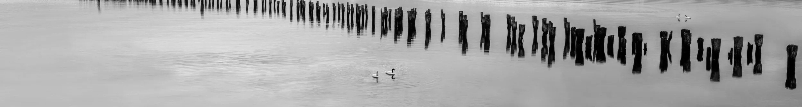 箫竹艺曲的个人主页（封面预览） - 主页封面设置 - 站酷设计师箫竹艺曲原创素材 - 站酷ZCOOL