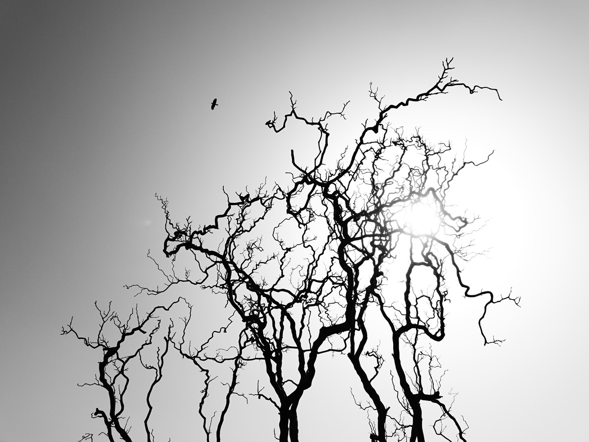 美奈问慕山的个人主页（封面预览） - 主页封面设置 - 站酷设计师美奈问慕山原创素材 - 站酷ZCOOL