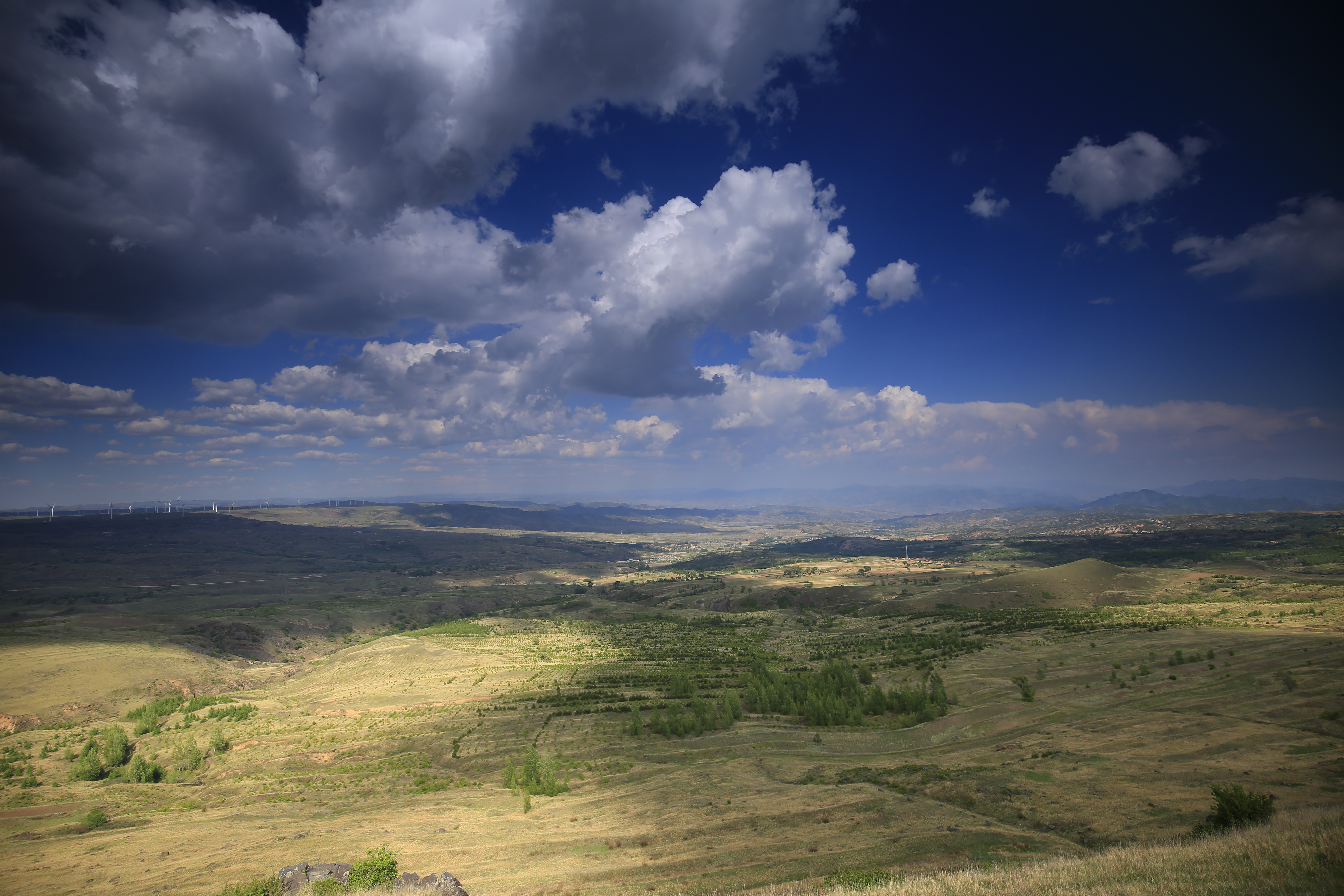摄迹狮Raymond的个人主页（封面预览） - 主页封面设置 - 站酷设计师摄迹狮Raymond原创素材 - 站酷ZCOOL