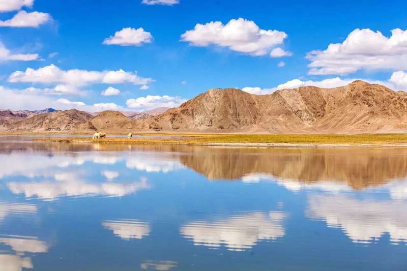 zonx的个人主页（封面预览） - 主页封面设置 - 站酷设计师zonx原创素材 - 站酷ZCOOL