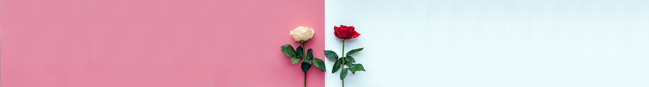 深海与梦的个人主页（封面预览） - 主页封面设置 - 站酷设计师深海与梦原创素材 - 站酷ZCOOL