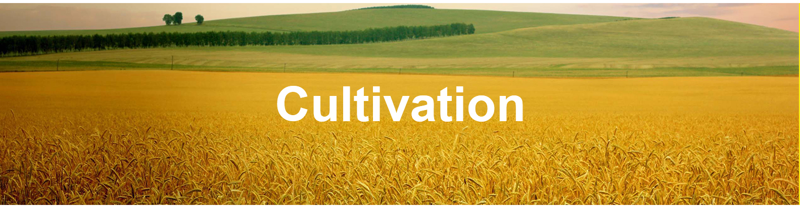 AlanLee1992的個人主頁（封面預覽） - 主頁封面設置 - 站酷設計師AlanLee1992原創(chuàng)素材 - 站酷ZCOOL