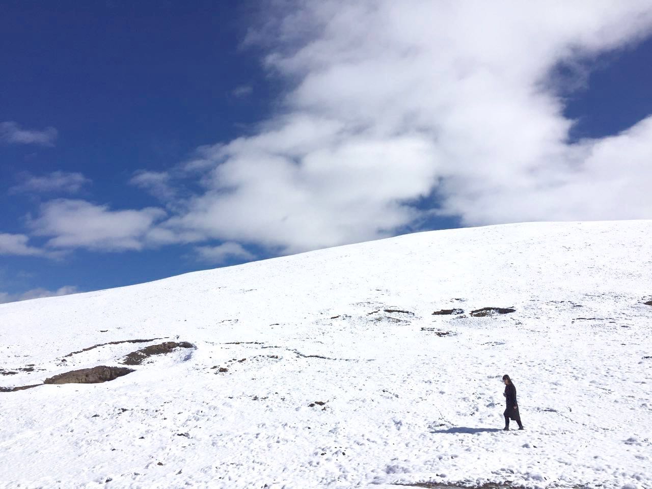 阿腿的个人主页（封面预览） - 主页封面设置 - 站酷设计师阿腿原创素材 - 站酷ZCOOL