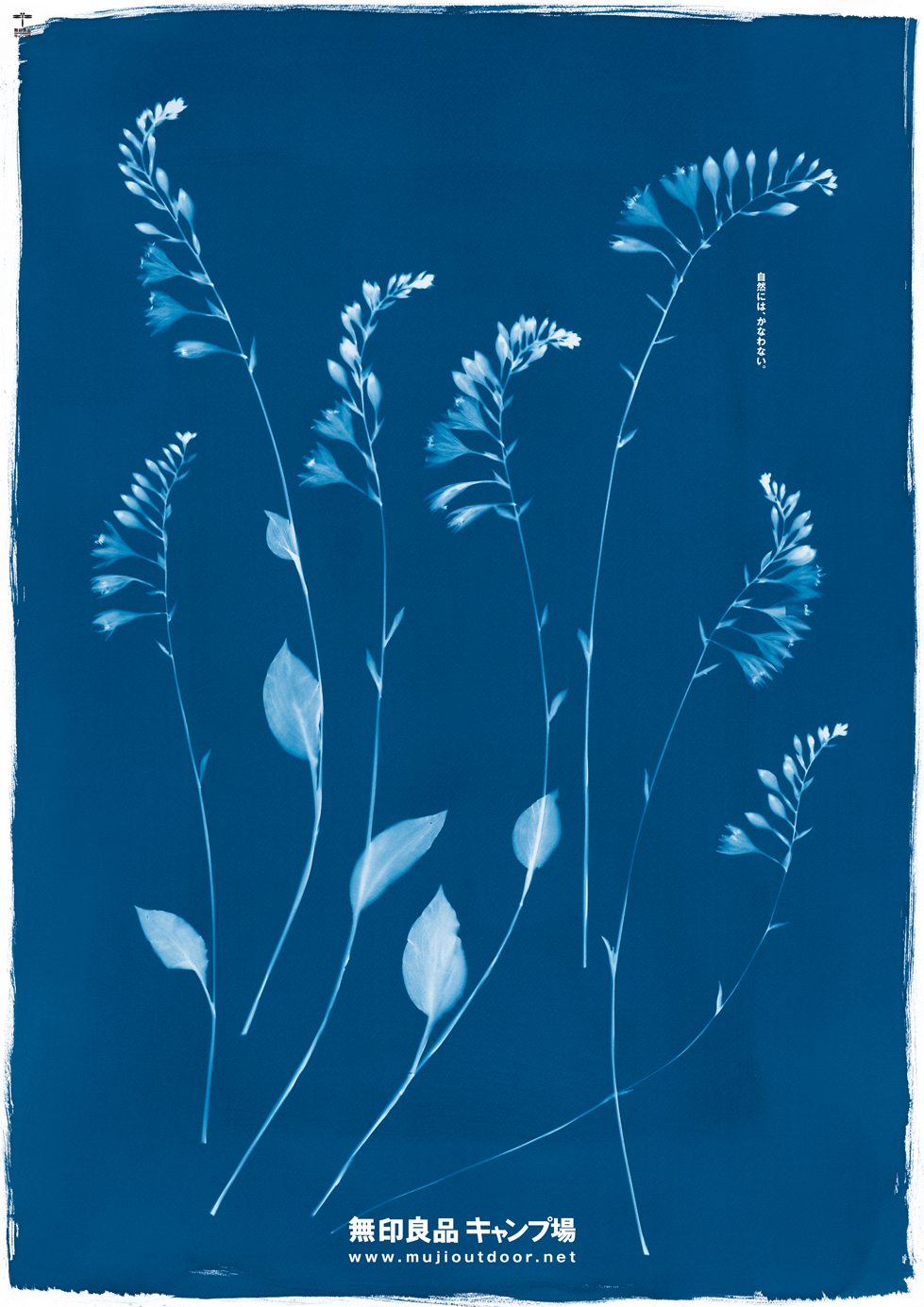 Qookie_design的個人主頁（封面預(yù)覽） - 主頁封面設(shè)置 - 站酷設(shè)計師Qookie_design原創(chuàng)素材 - 站酷ZCOOL