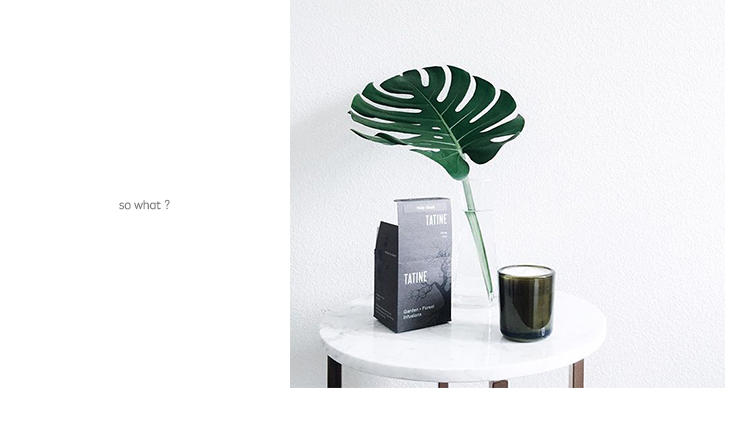 葡萄籽儿的个人主页（封面预览） - 主页封面设置 - 站酷设计师葡萄籽儿原创素材 - 站酷ZCOOL