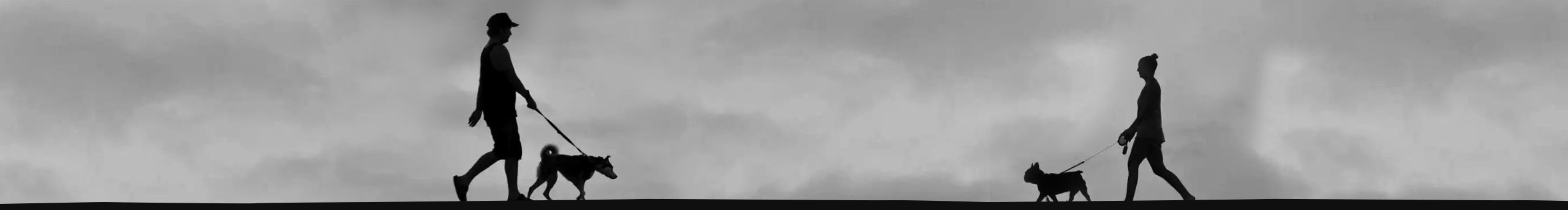 莫莫7047的个人主页（封面预览） - 主页封面设置 - 站酷设计师莫莫7047原创素材 - 站酷ZCOOL