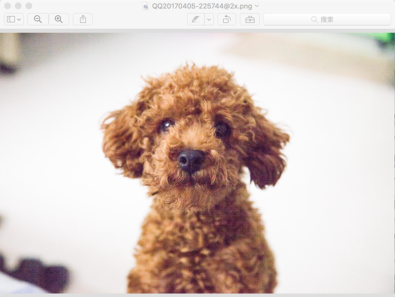 小毛140316的个人主页（封面预览） - 主页封面设置 - 站酷设计师小毛140316原创素材 - 站酷ZCOOL