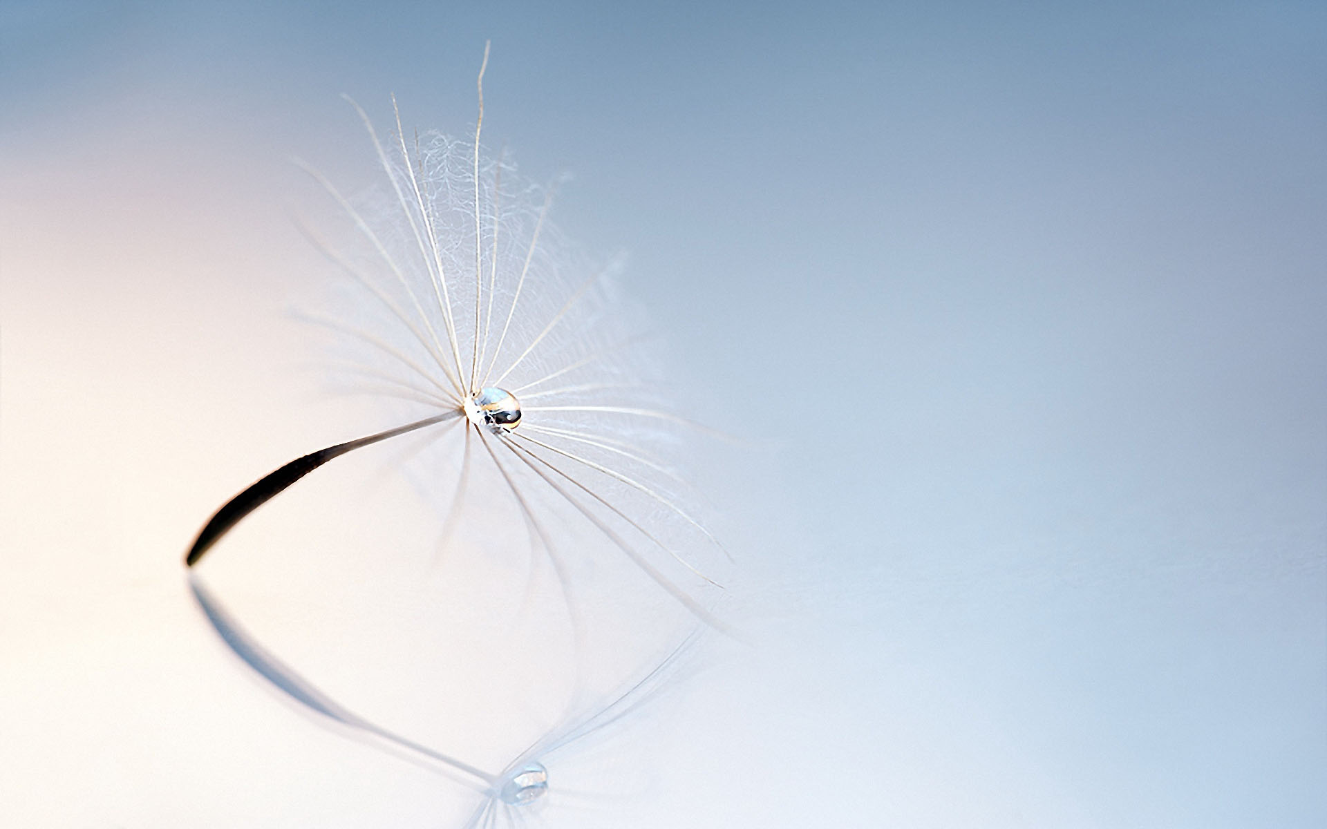 创设计意的个人主页（封面预览） - 主页封面设置 - 站酷设计师创设计意原创素材 - 站酷ZCOOL