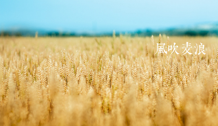 今天不啃饭的个人主页（封面预览） - 主页封面设置 - 站酷设计师今天不啃饭原创素材 - 站酷ZCOOL