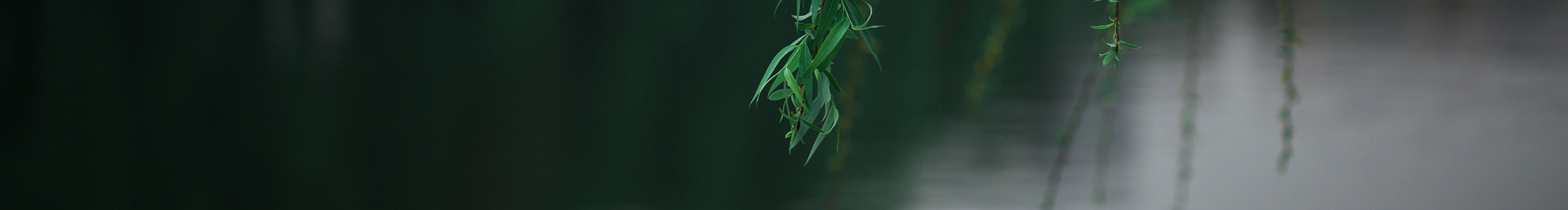 大猫影界的个人主页（封面预览） - 主页封面设置 - 站酷设计师大猫影界原创素材 - 站酷ZCOOL